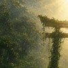 Agnostic Peace/異界の天辺
