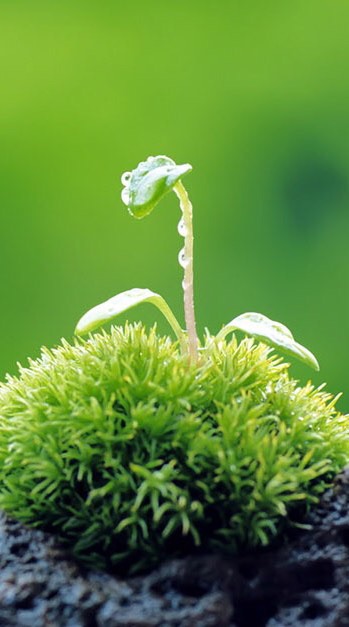 เกษตรกรรม 5.0