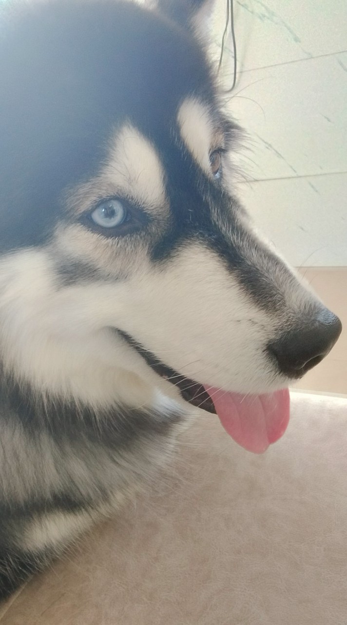 หน้ารักมั้ยคาบ