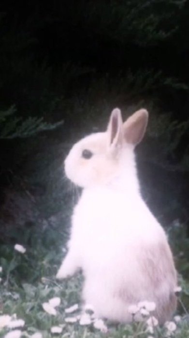 ♡ ' 𝐁𝘂𝘆 ⓐ𝗻𝗱 𝘀𝗲𝗹𝗹 𝘄𝗶𝘁𝗵 ⓜⓔ ꒰𝐍𝘂𝗺𝗶🪽꒱ؘ