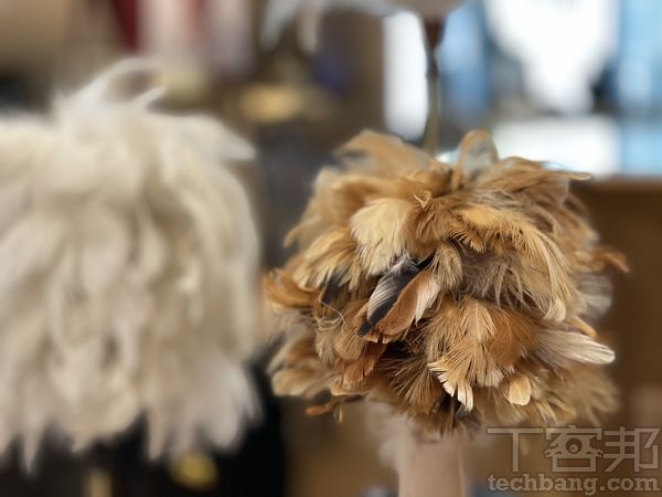 使用人像模式拍攝羽毛時，雖然仍看得出來邊緣不易辨識，但景深效果已更為自然。