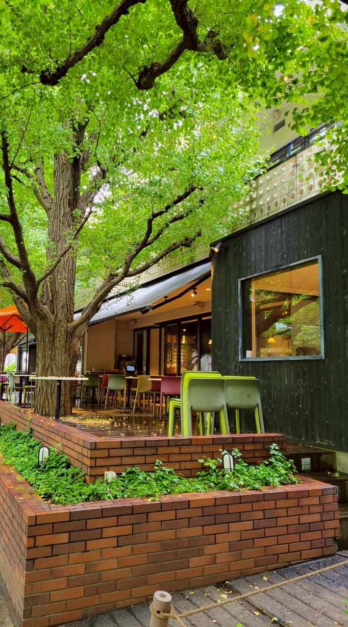 1990年代生まれからの関東 カフェ☕ランチ🍴女子会👩友だち作り、雑談コミュニティ