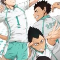 ハイキュー激緩緩緩緩なりきりっ！　折　女子マネ⚪︎ 騒げ！！見たやつ全員入れ！！！