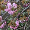 運を味方につける智慧～聡風塾～