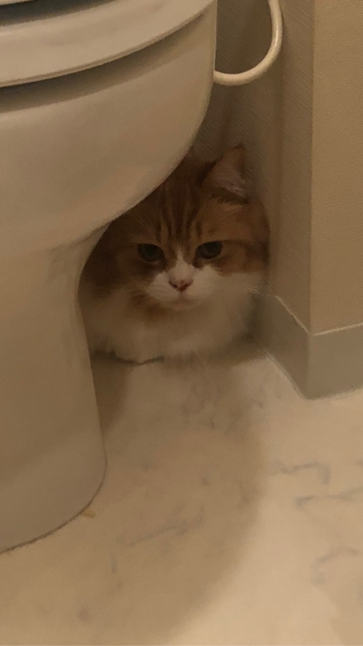 夜勤の隠し部屋