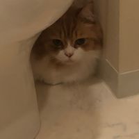 夜勤の隠し部屋