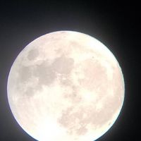 福岡で仲間増やそ^_^   #アラフォー、アラフィフ　#美味しいもの　#気兼ねなく