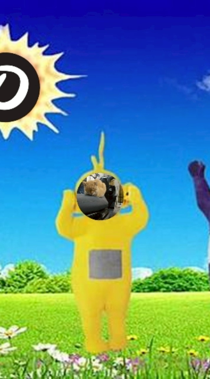 橘貓脆友會——讓良善的人相互遇見