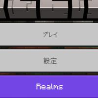 マイクラマルチ