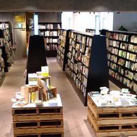 行政書士試験、司法書士試験、FP、司法試験・予備試験の合格を目指すみんなの為のまめきちのお部屋