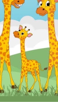 DTW65-Giraffe