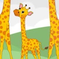DTW65-Giraffe