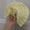 折り紙創作部