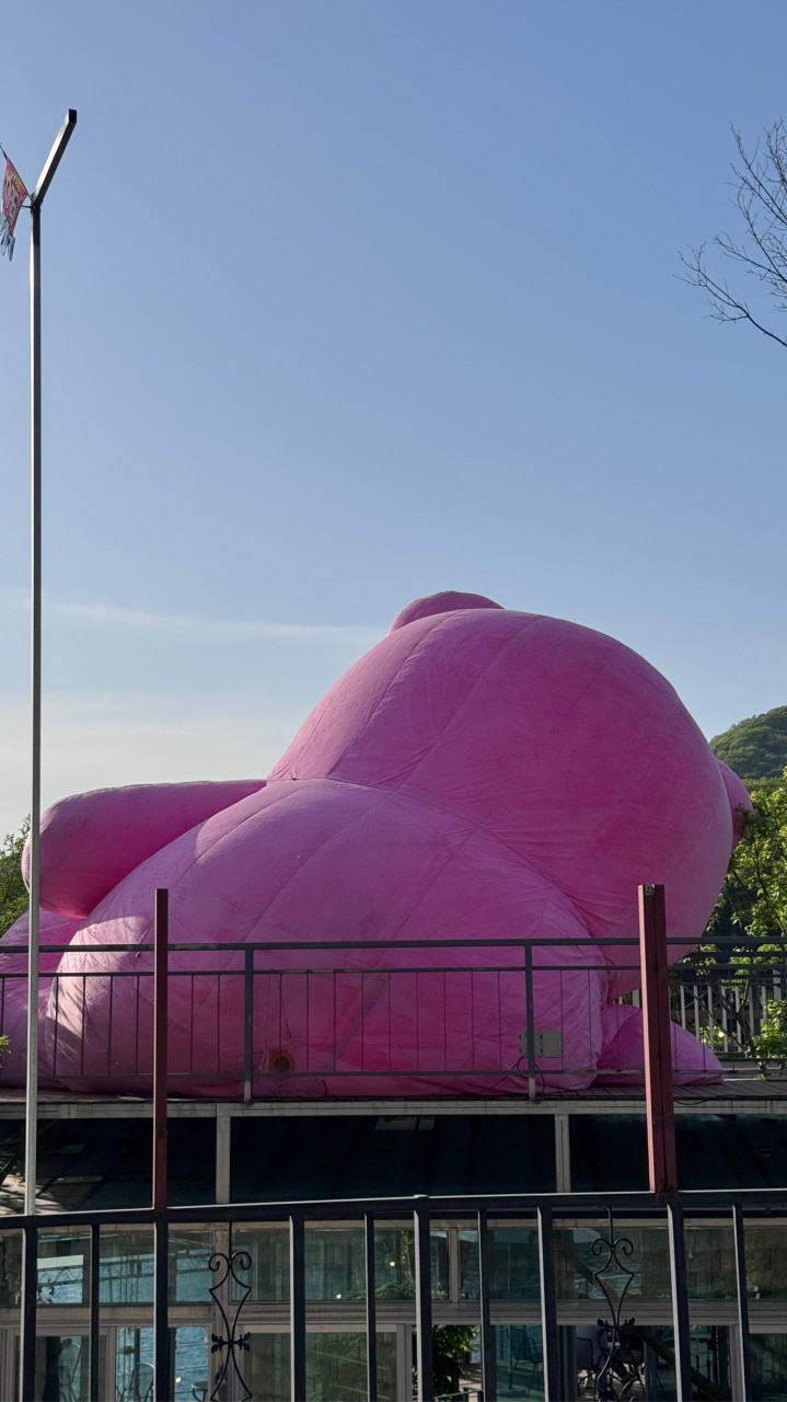 韓國翻譯專業小助理🐽🦄