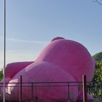 韓國翻譯專業小助理🐽🦄