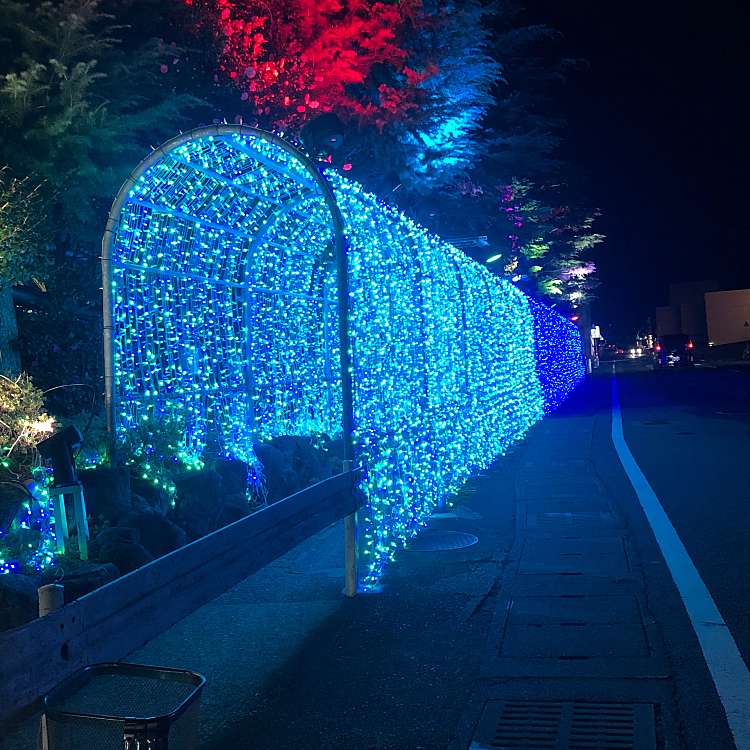 口コミの詳細 杉乃井ホテル 観海寺 別府駅 ホテル By Line Place