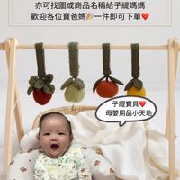 🍼子緹媽媽愛買母嬰用品群