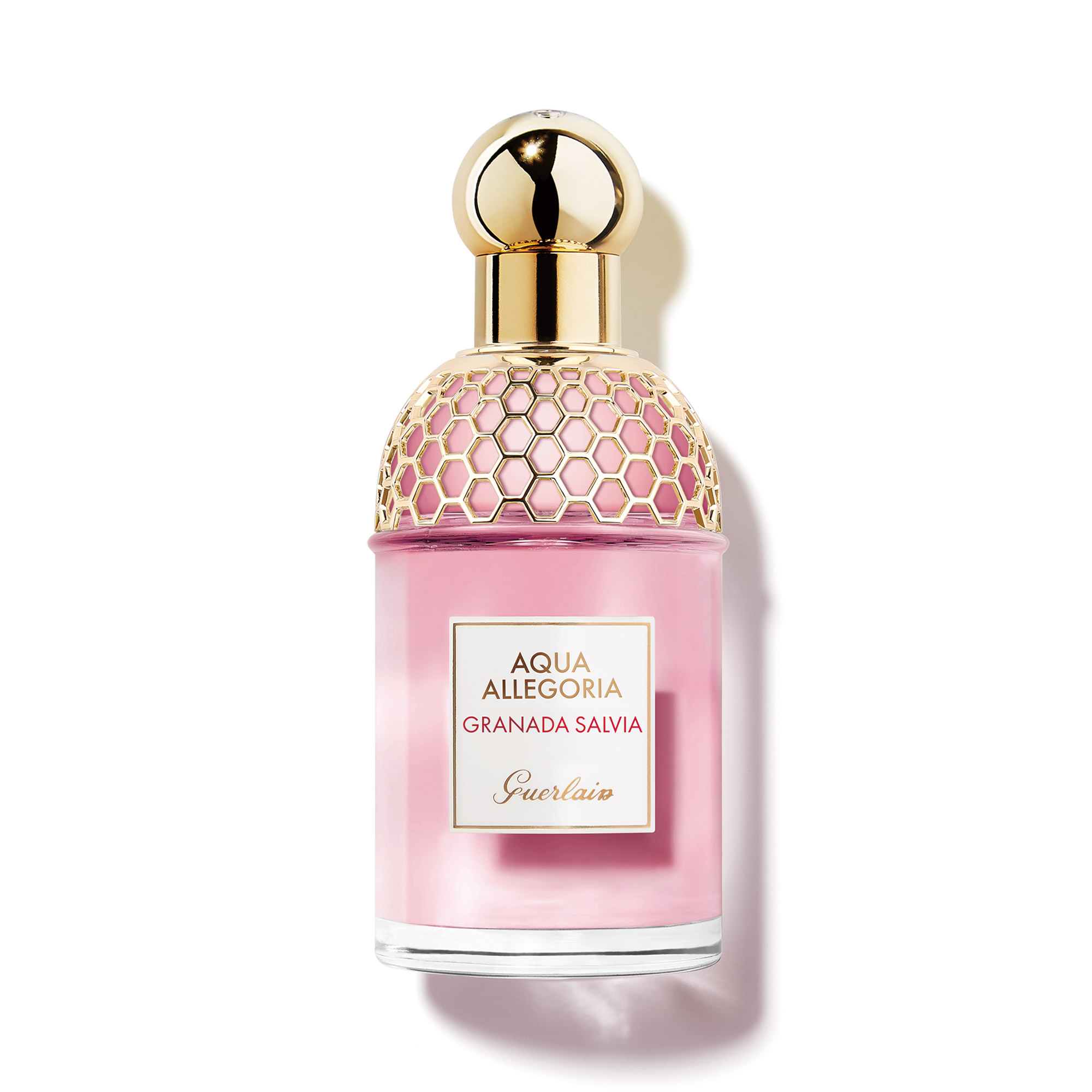 前調: 紅石榴、青草調。中調: 黑醋栗、柏樹、檸檬、佛手柑。後調: 鼠尾草、玫瑰、白麝香、廣藿香、蘚苔。