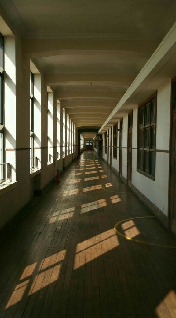 ¦ :The killer in the shadows: ฆาตกร​ในเงามืด​ ¦