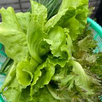 看看「營養師天天吃」什麼🥗