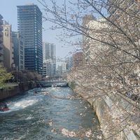 徳任会