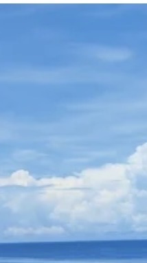 (新)快樂舞年級