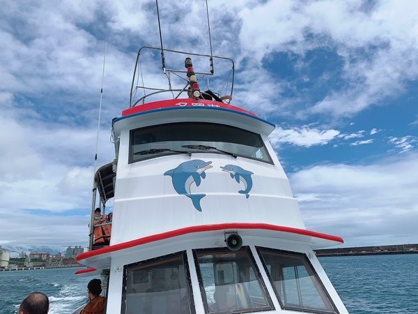 「花蓮旅遊」花蓮租車三天二夜輕旅行自駕遊，盛夏消暑追鯨趣-花蓮永宬租車，老時光燒肉酒肴，欣欣麵館不是麵店，小花公寓民宿與窩WOW青年旅館直擊分享
