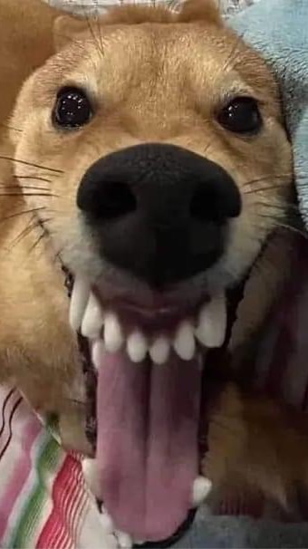 ม.เกษตรและการดีล