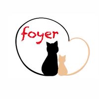 Foyer Information