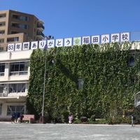 稲田小学校　同窓会　1977-78年生　
