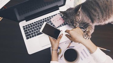 武漢肺炎中開工：中國「世界最大規模遠端實驗」擠爆許多軟體服務