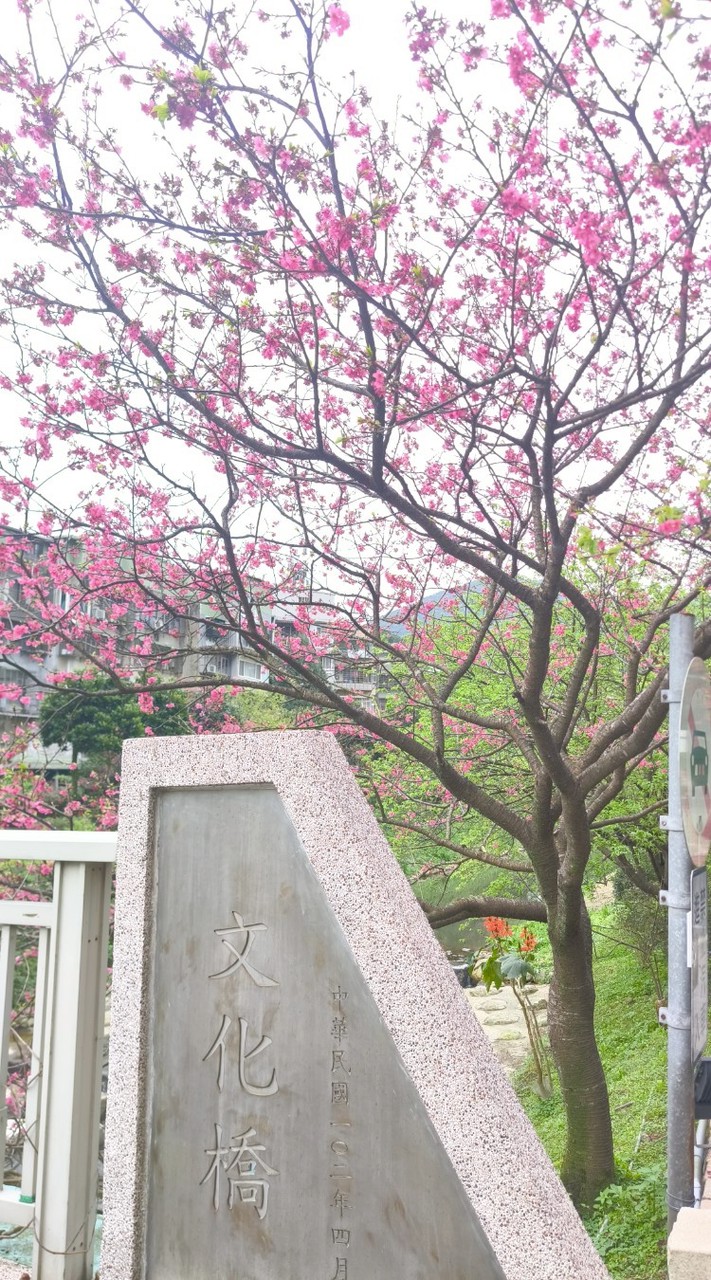 健身房  保養 討論 訓練 美女 肌肉 增肌 運動 律動 活動 新北 舉重 體驗 健康 討論 辣妹