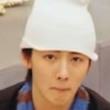 Cortis黑粉群