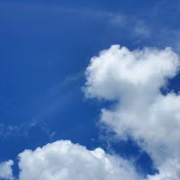 東部リハ協運営委員会