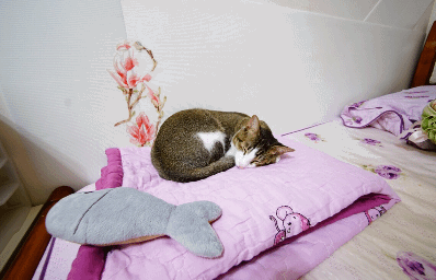 讓你的照片動起來吧！Apple Store 上 Plotagraph 限時免費中！