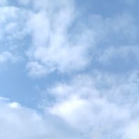 Skyの愉快な仲間たち