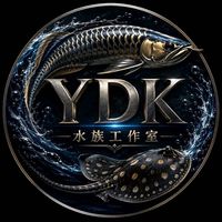 YDK水族工作室