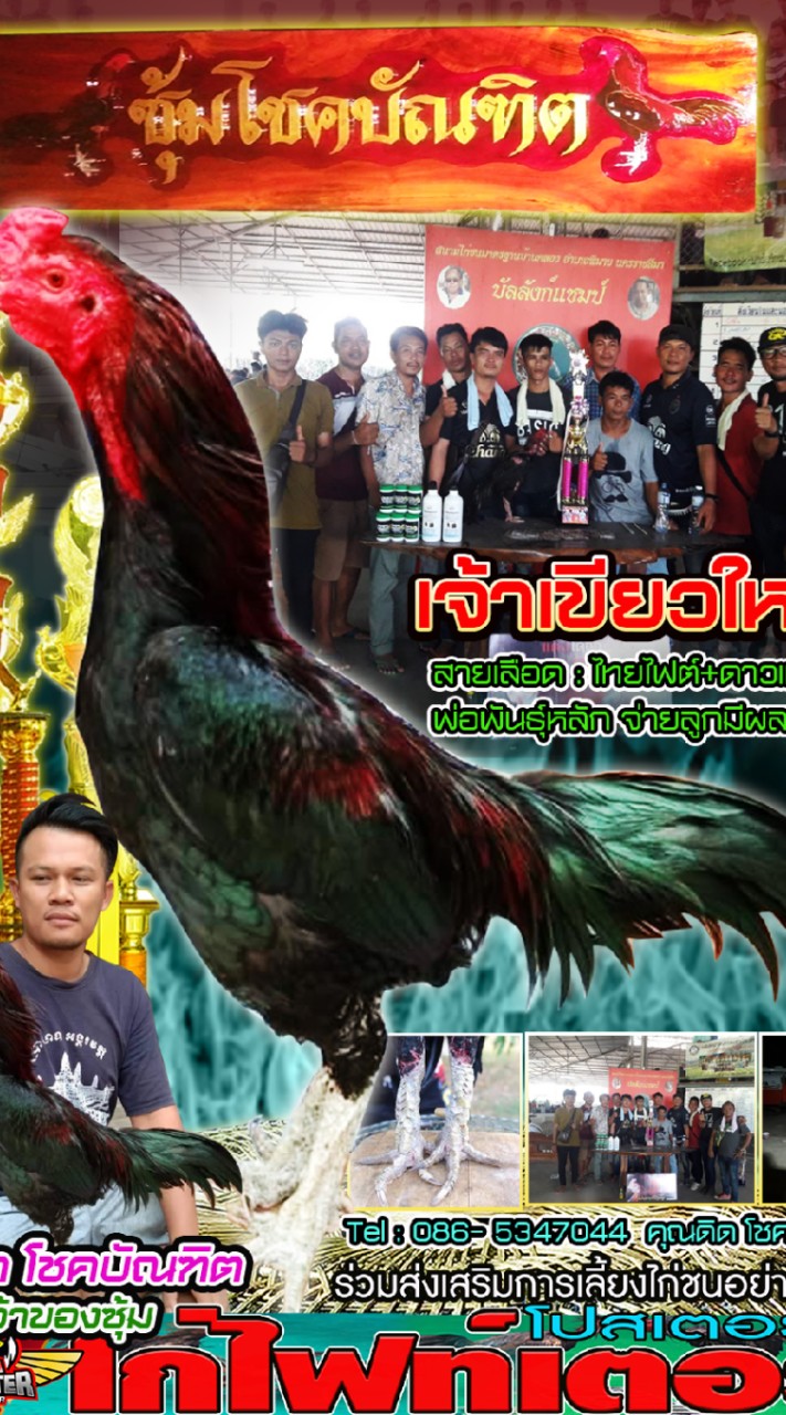โชคบัณฑิต