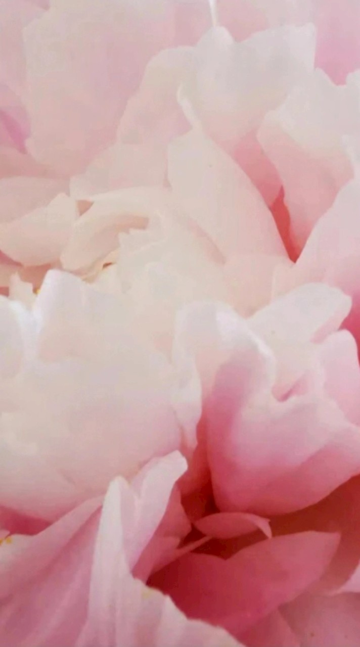 東京、神奈川 中高一貫校 threads jewel dubaiメンバー