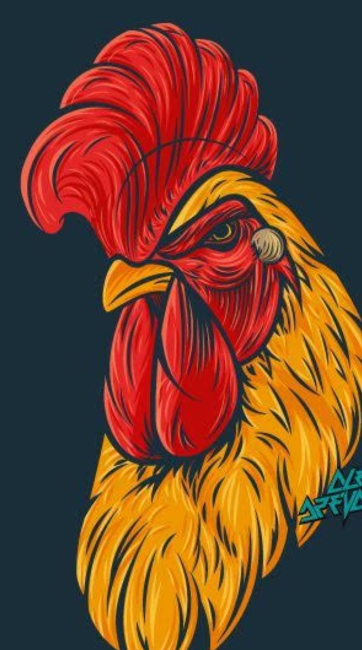 🐔สนามกีฬาไก่ชนแม่ย่อยหลวง🐔