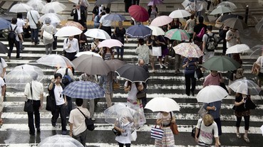 如何嚇走雨傘小偷