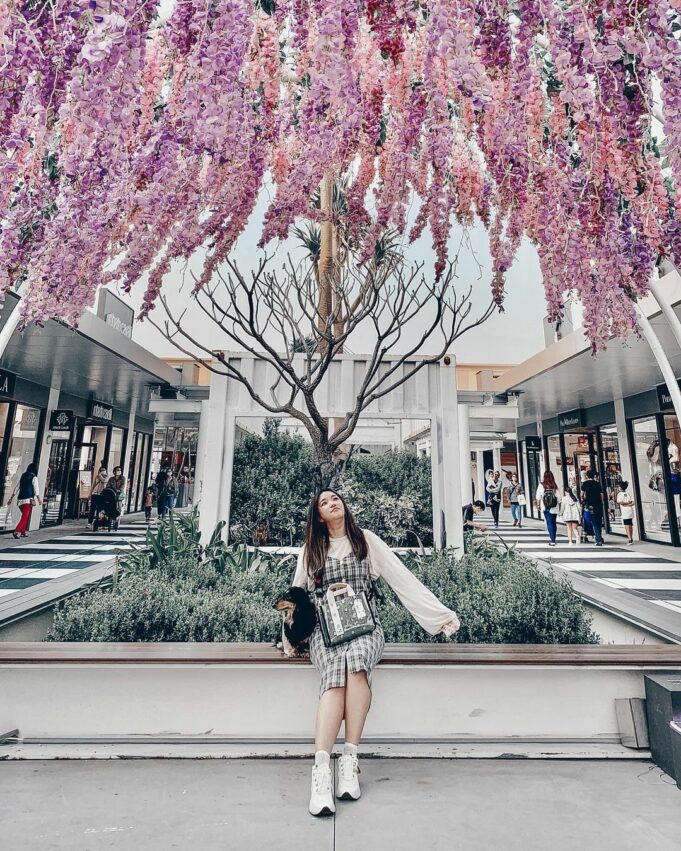 台中海線 台中海線｜2022海線一日遊懶人包、最新景點、美食推薦攻略 10 2022