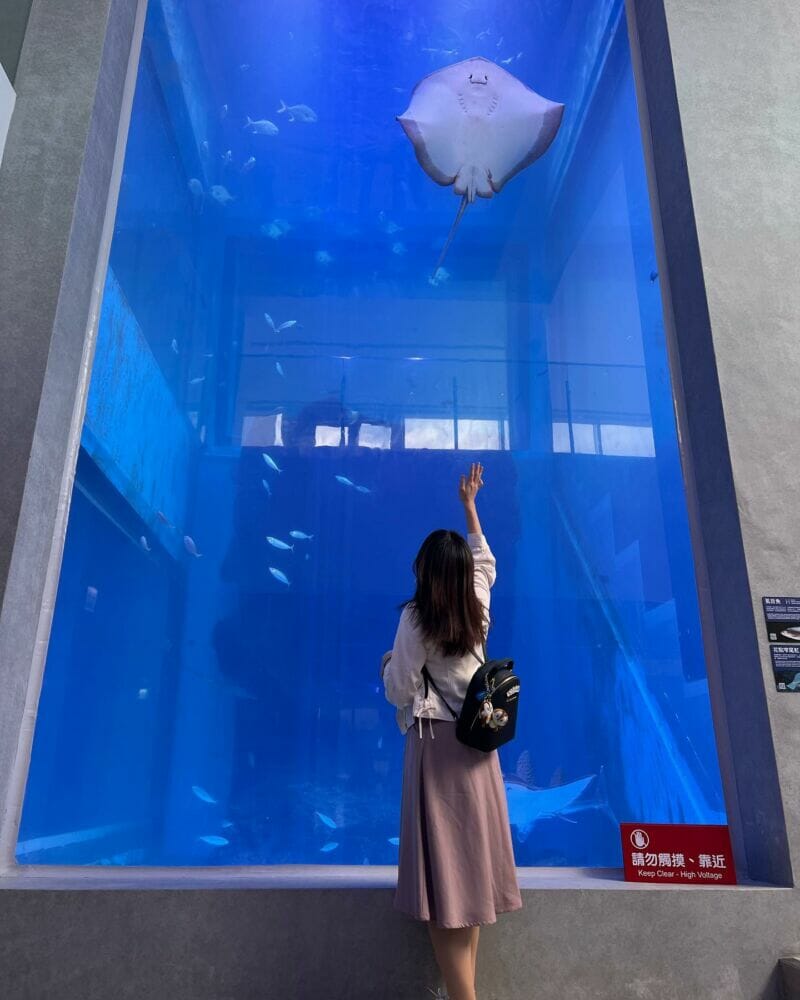 基隆│潮境海洋館2