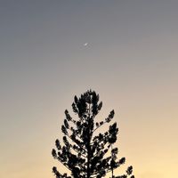 高手雲集收容所