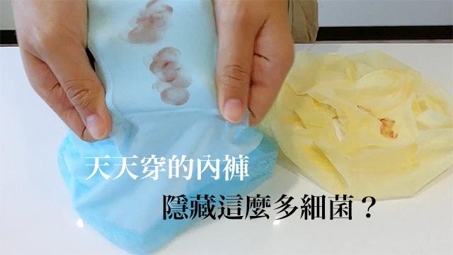 『私密處是女人第二張臉』，天天接觸的內褲你卻錯誤清洗？