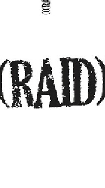 นัดตี Raid เชียงใหม่