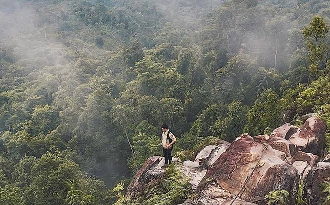 7 Fakta Unik Samboja Dan Sepaku Ibukota Baru Republik Indonesia