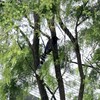 115學年臺北大學社學系新生社群