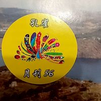 孔雀天地L