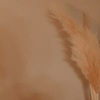 【全国】ナリス化粧品お仕事説明会♡⃛